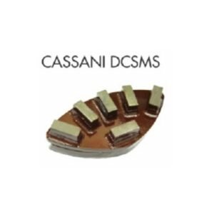 CASSANI DCSMS